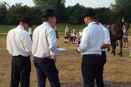 20180728_0718031155211287.jpg