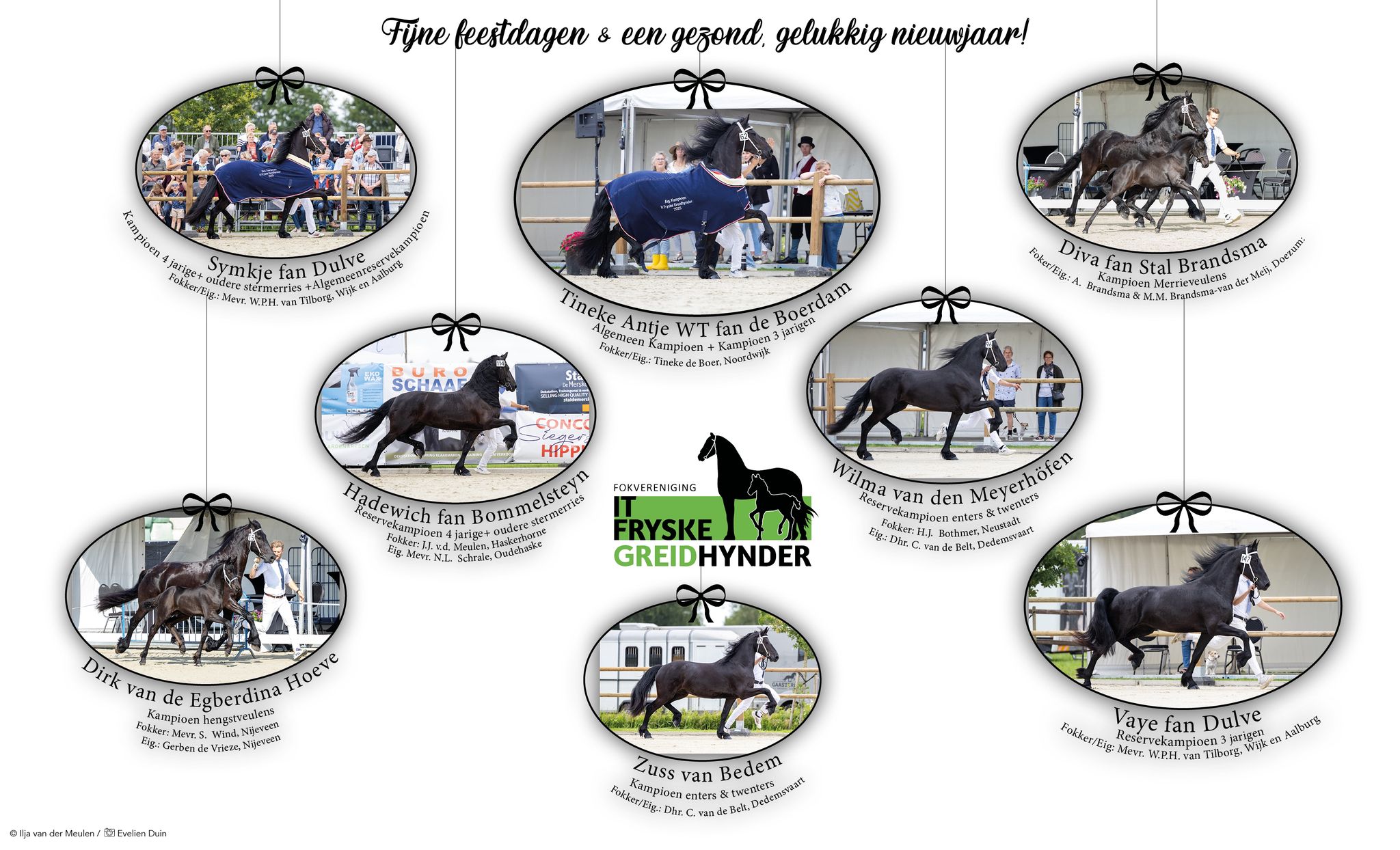 Afbeelding van WhatsApp op 2025 12 31 om 15.05.48 1e1530c8